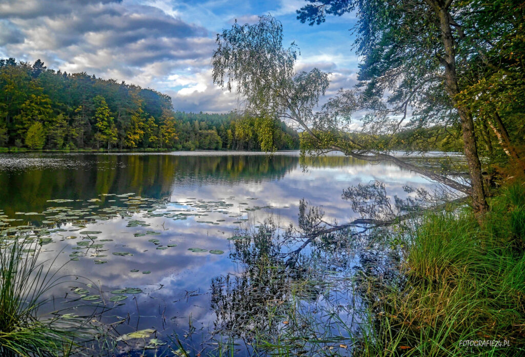 Jezioro Borowo - pow. wejherowski